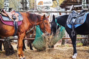 Leszno Worek na siano — praktyczny i wytrzymały pasznik dla koni Sklep Leszno